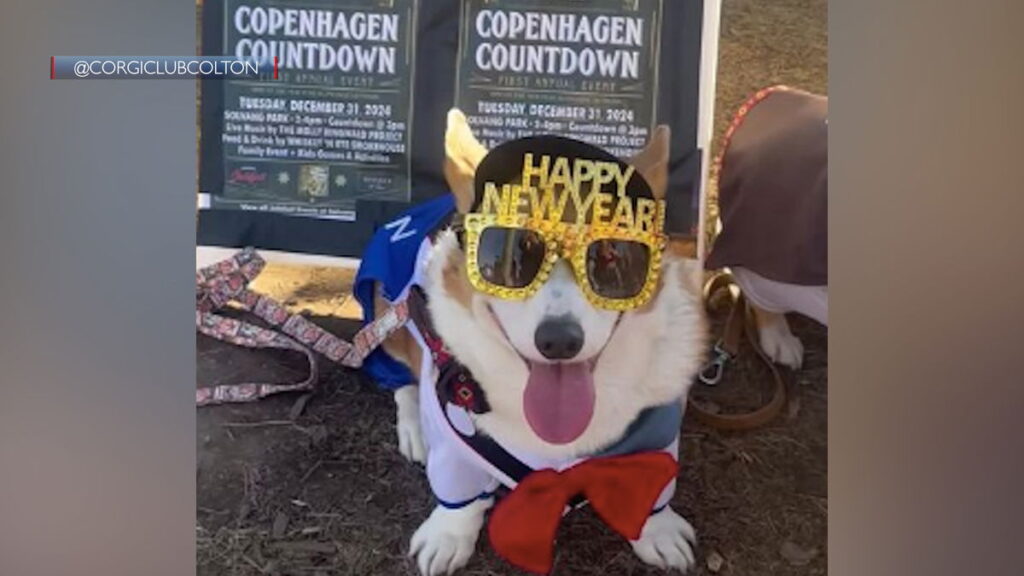 Solvang’s Copenhagen Countdown Rings In 2026 On Denmark Time Solvang’s Copenhagen Countdown Rings In 2026 On Denmark Time