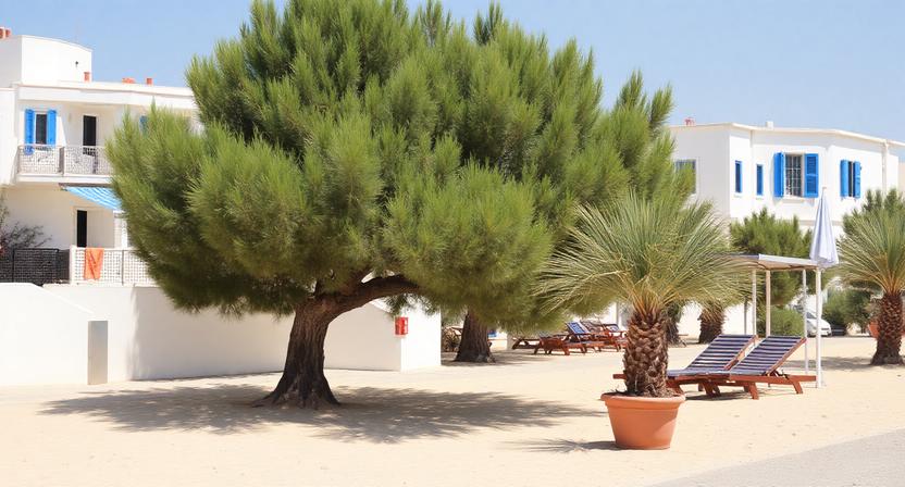 Cyprus Tourism Sees More than Ten Percent Growth in Revenue, Driven by Strong Demand from the UK, Israel and Poland, Signaling its Long-Term Growth