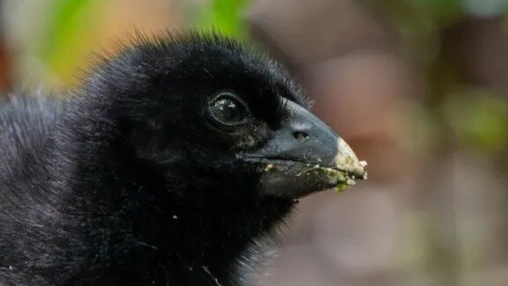 Letters: Will 2025 be remembered as the year New Zealand lost its innocence?