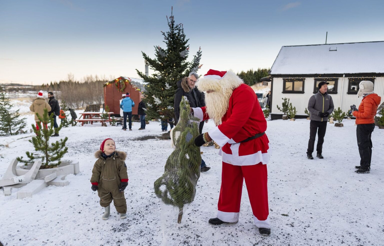 Why Is Christmas Called “Jól” in Iceland?