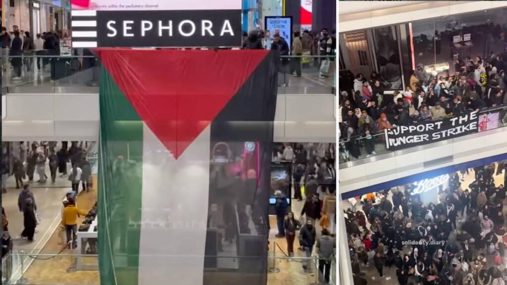 'Free Palestine', chant protestors, as chaos erupts at London shopping centre