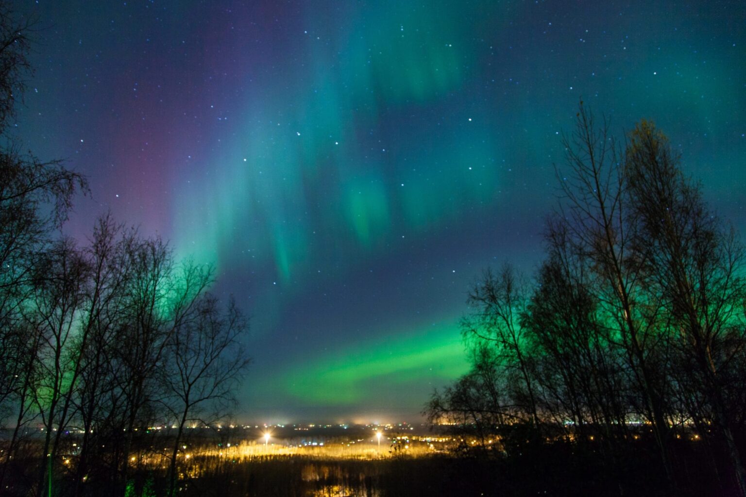 Norway Unveils Scenic Night Train for Northern Lights Fans