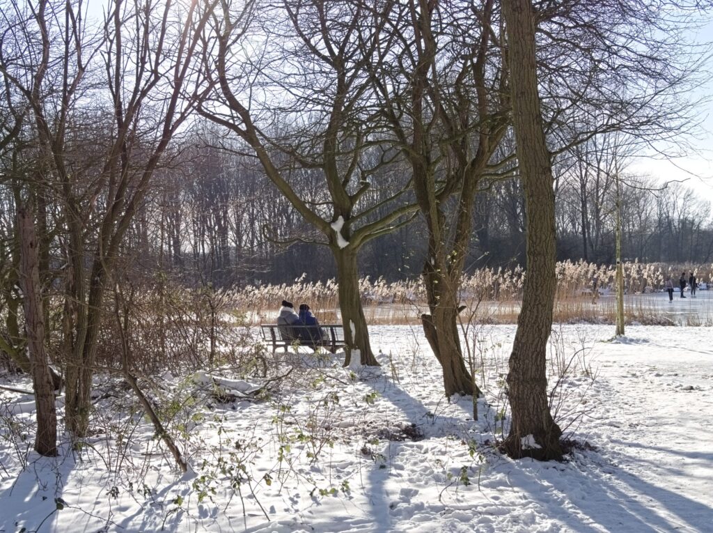 Snow expected nationwide Netherlands in first weekend of 2026