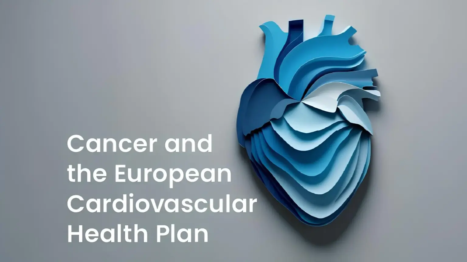European Cardiovascular Health Plan