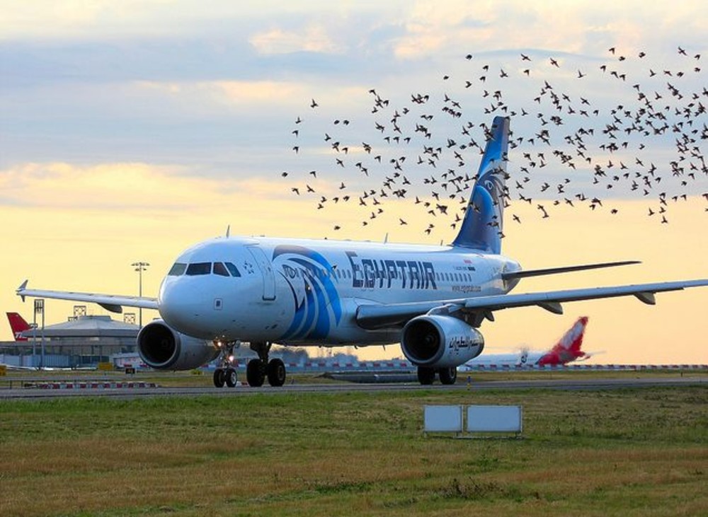EgyptAir Expands Cairo-Italy Flights to Meet their Rising Demand, Strengthening Bilateral Tourism and Trade Ties for Long-Term Growth