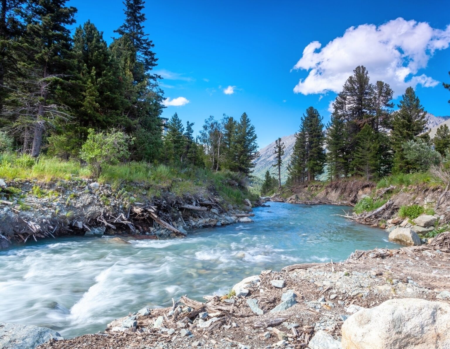 Environmental changes shape evolution in unexpected ways