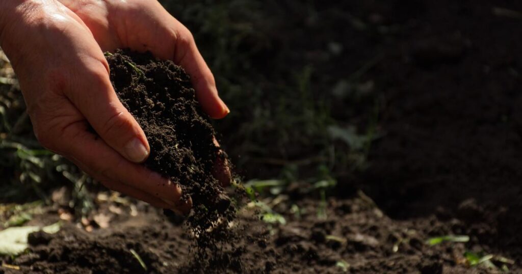 First EU law on soil set to enter into force