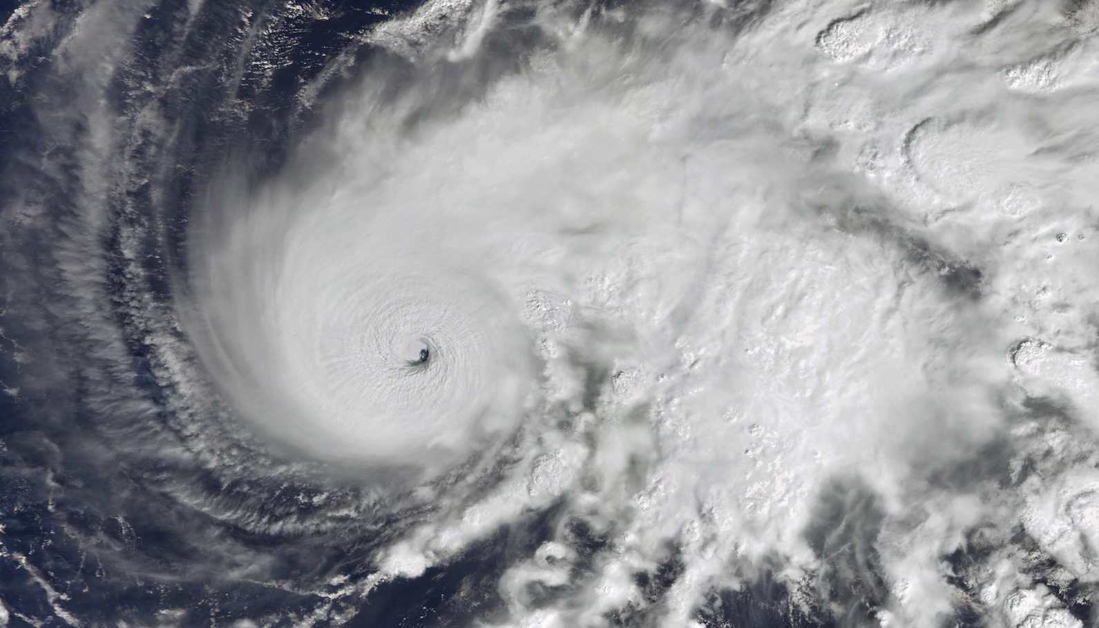 a satellite images of a hurricane