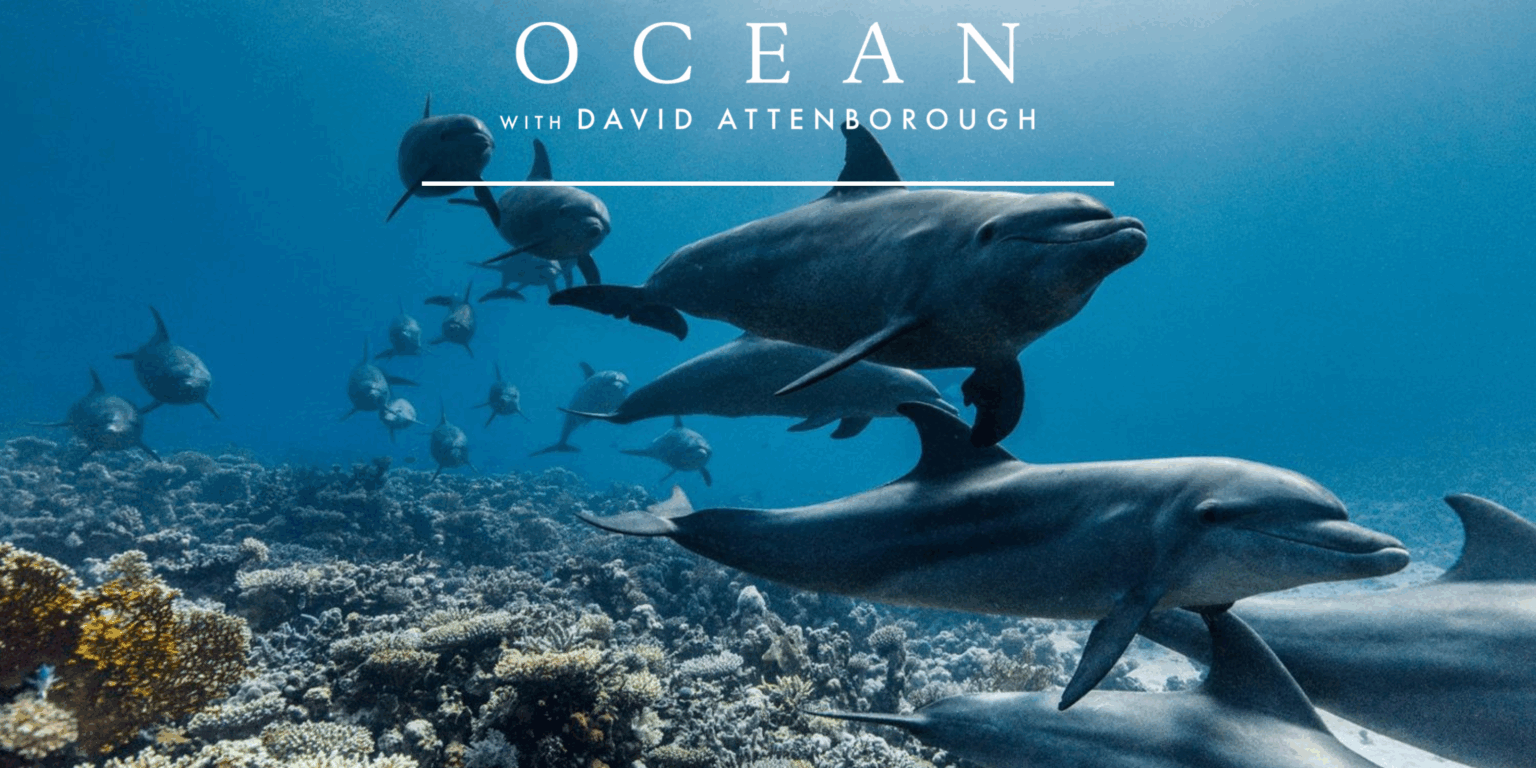 Department for Environment and Water