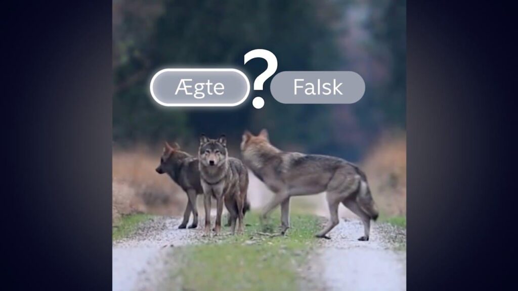 Are you being cheated too? See if you can spot the fake videos made by AI