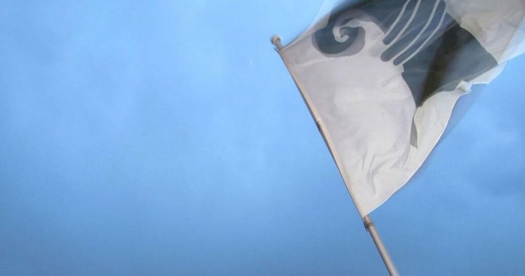 Call for witnesses: Man commits sexual offense against child, 12:00, Basel-Stadt