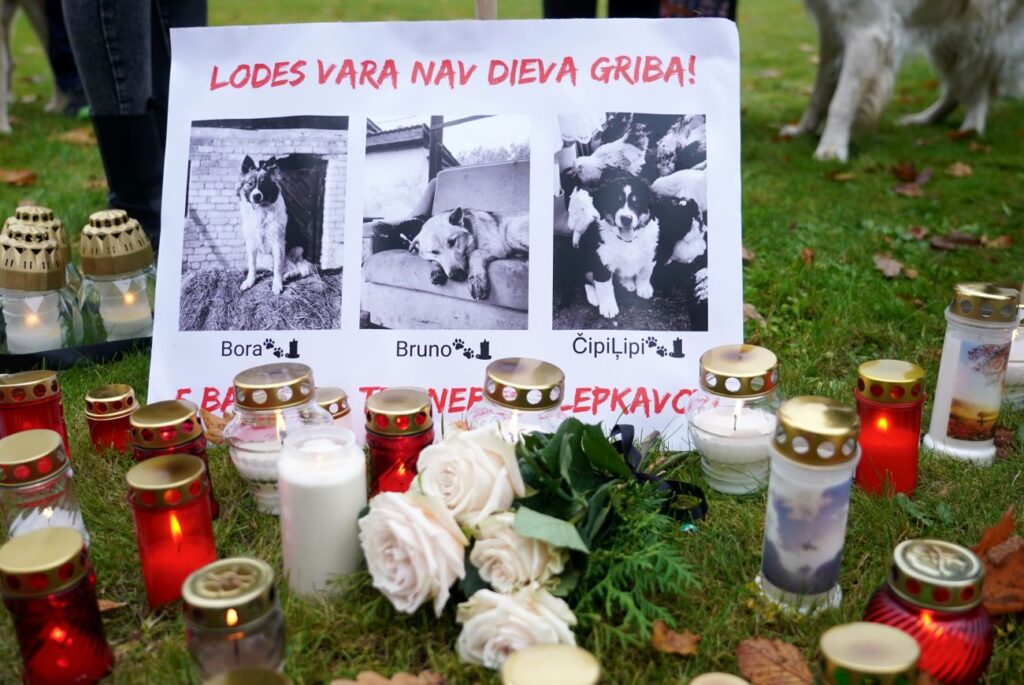 Four people to be charged over the shooting of three dogs in Latvia