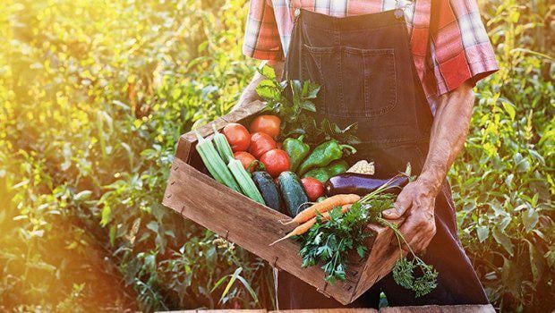 Eurostat: The productivity of the agricultural sector is sinking in Greece - It is increasing in the EU