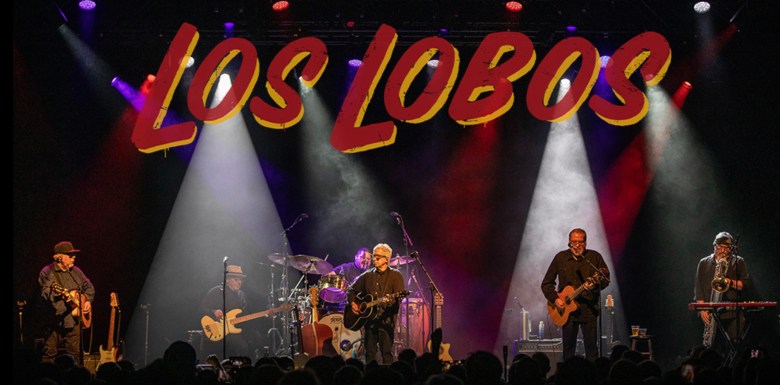 The band Los Lobos on stage