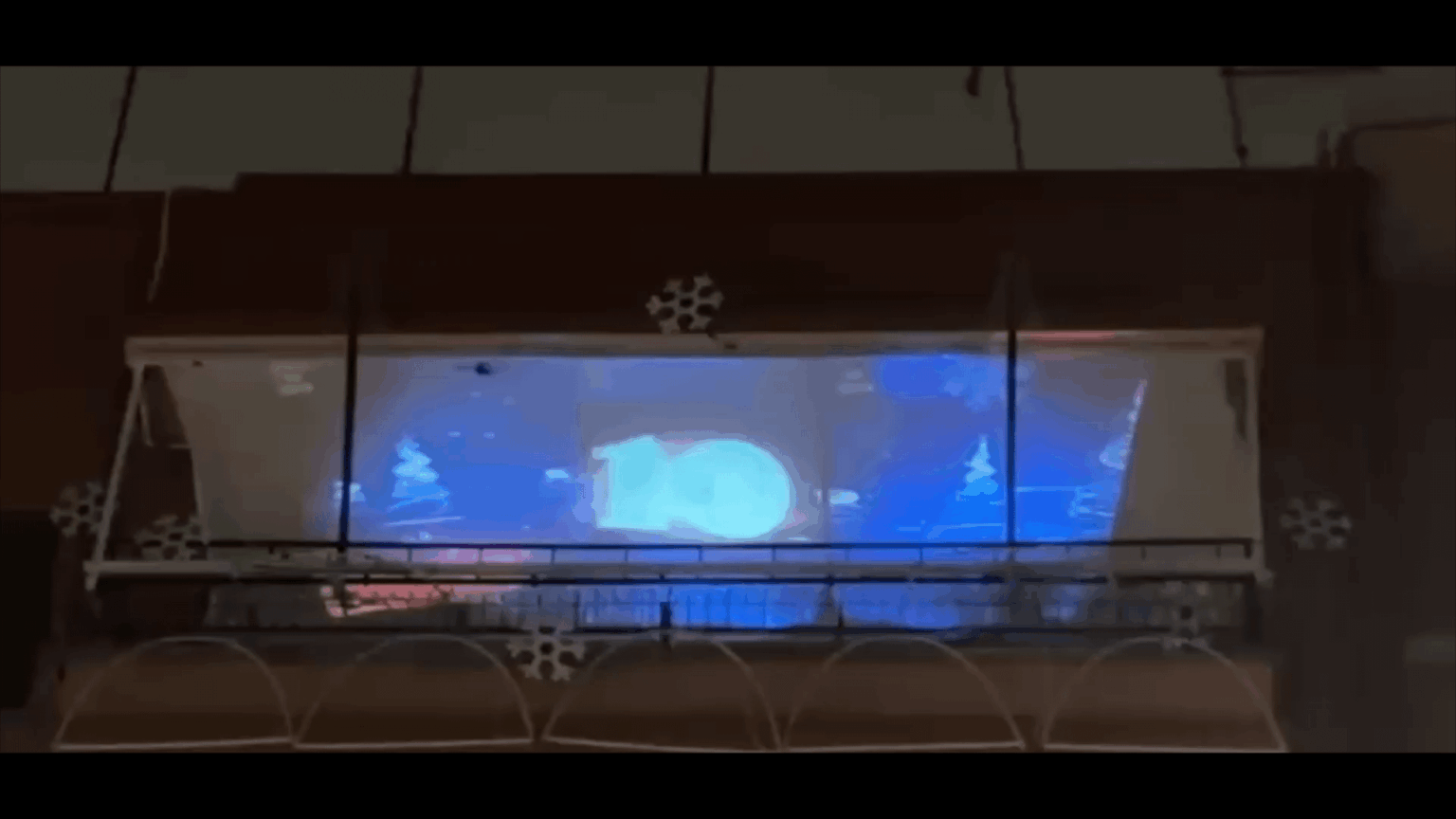 Christmas Show on Balcony