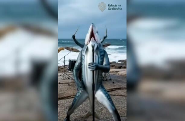 'An insult to what art is': Údarás na Gaeltachta's AI competition faces backlash from artists