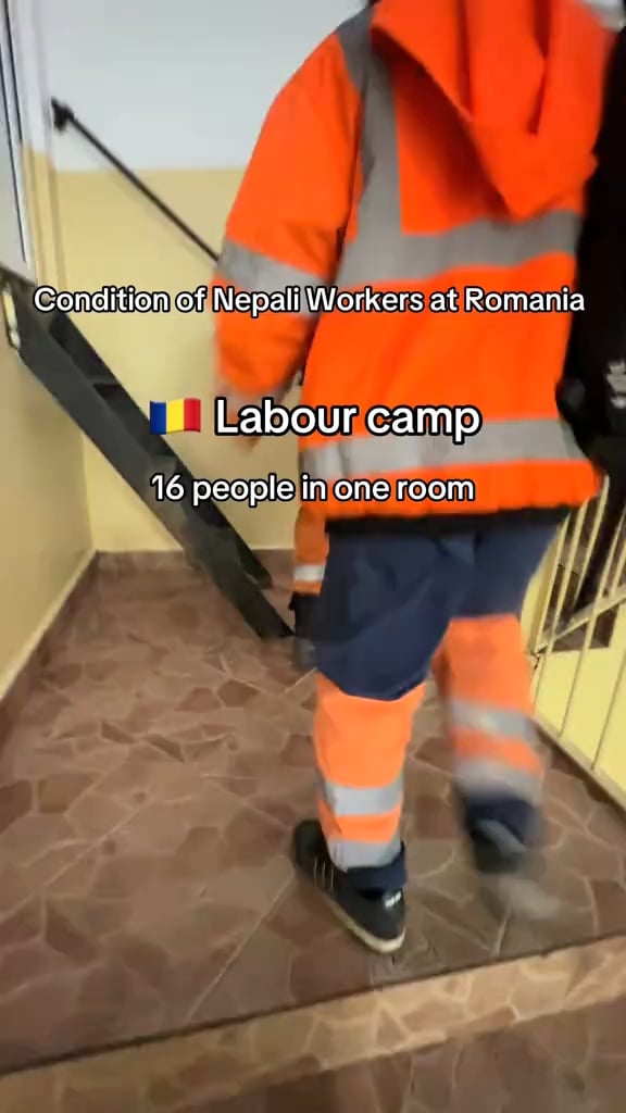 I entered a rabbit hole where I keep seeing videos from Asians working in Romania showing the conditions they work in and how much they earn