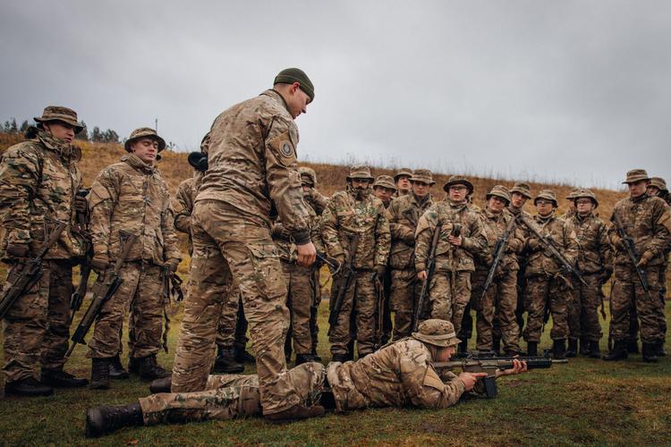 The absence of conscripts with ethnic origins other than Danish arouses annoyance