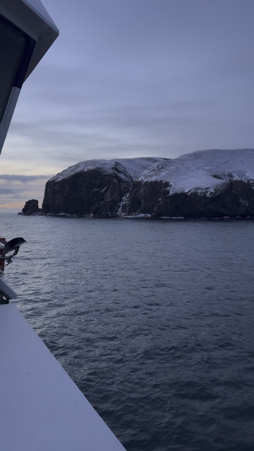Bjørn øya (bear island)