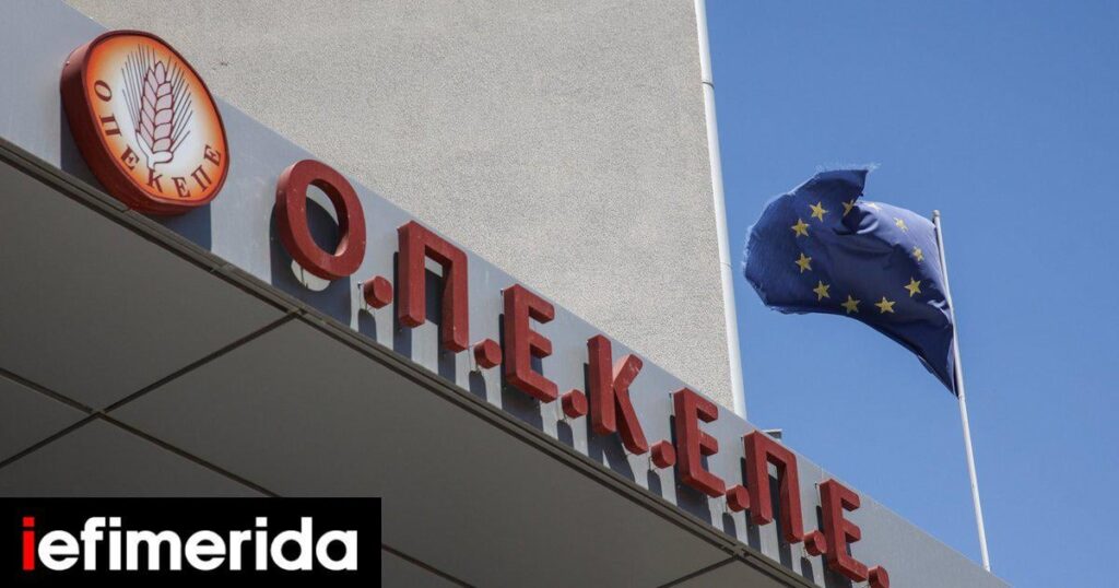Accountants, lawyers, farmers in the circuit with illegal subsidies of 1.7 million euros in Crete - Agricultural trade unionist the mastermind