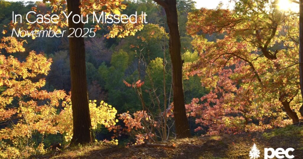 PA Environmental Council In Case You Missed It In November Now Available