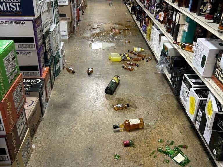 A raccoon broke whiskey bottles in a store and lay down drunk on the toilet