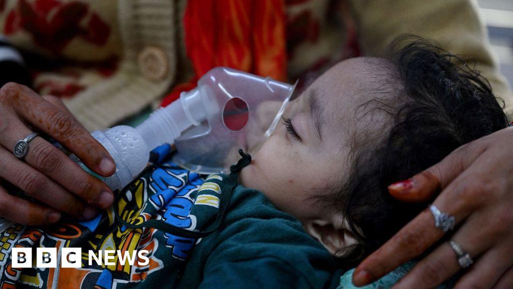 Delhi records 200,000 acute respiratory illness cases amid toxic air
