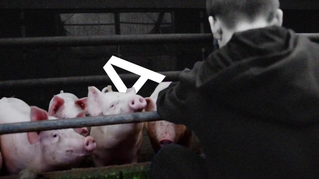 (Peasant) propaganda in the classroom (Peasant) propaganda in the classroom