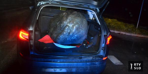 The statue of Tito in Velenje was left without a head at night, the police found it in the trunk of a 49-year-old driver