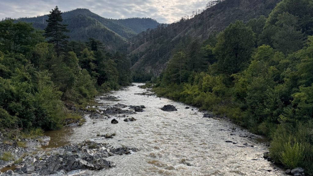 Krivaja River / PHOTO: D. Rakita