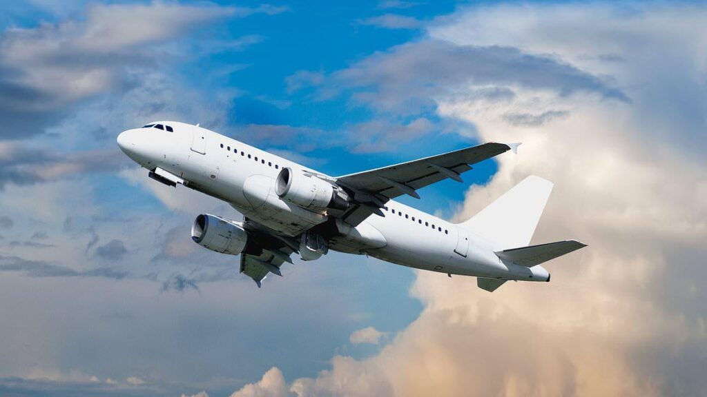 Woman told she can't sue employer on environmental grounds because she uses planes to go on holiday