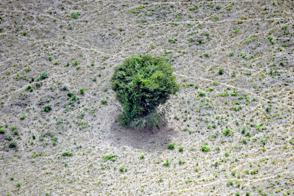 One retracted study doesn’t cancel climate science – Daily Press