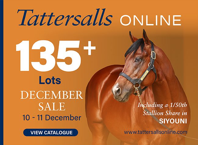 Tattersalls Online 12-5-2025