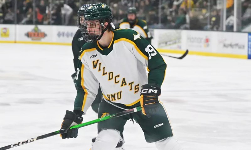 Captain of Team Slovakia at WJC