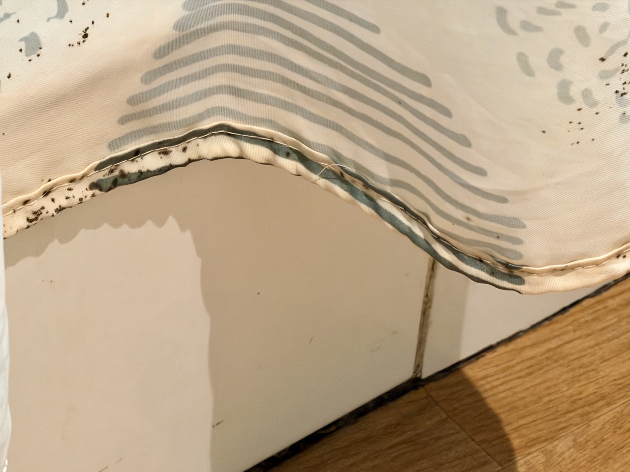 Two Star Hotel Cannes France - mold on shower curtain