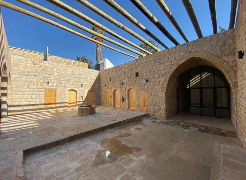 From Helsinki to Beirut – the Many Lives of a Finnish Pine