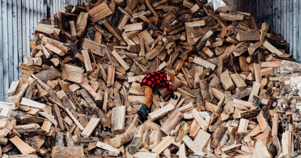 Firewood Banks Aren’t Inspiring. They’re a Sign of Collapse.