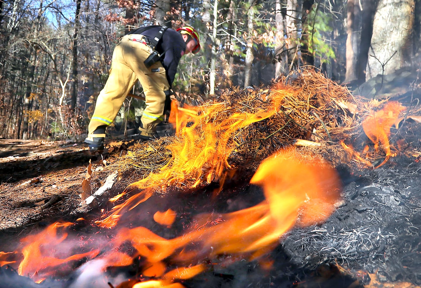 Sharon Firefighter Kurt Simpson put out hot spots on a trail as firefighters remained on the scene of a massive wildfire at the Blue Hills Reservation, which burned close to 40 acres in 2024.