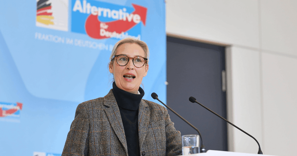 Weidel Is Germany's Most Popular Female Politician, Bild Poll Finds