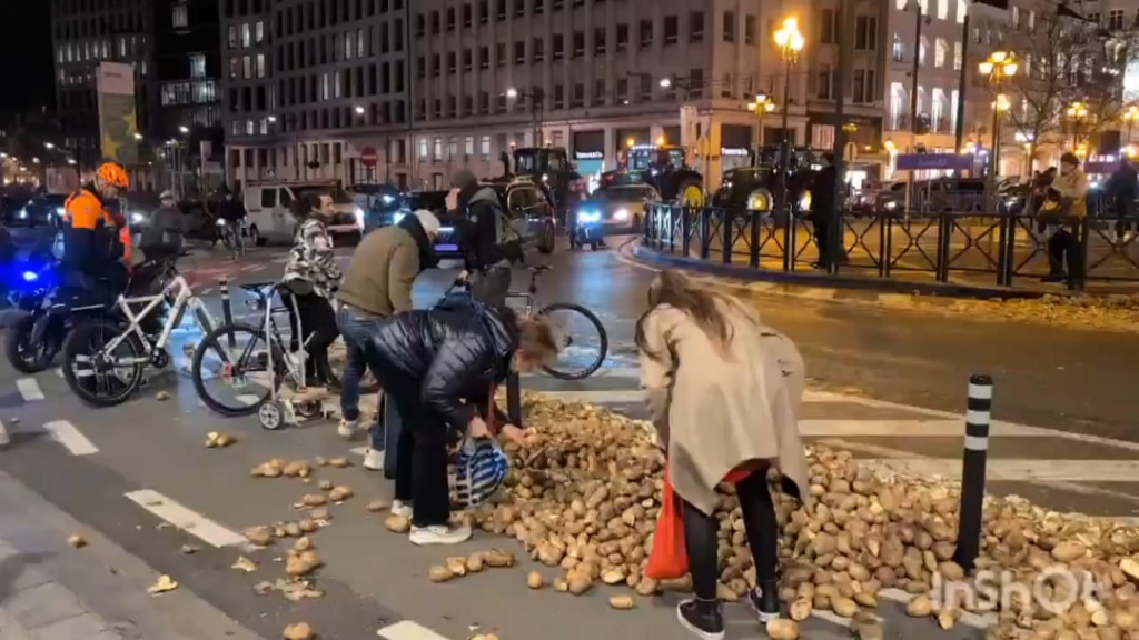 People pick up swept potatoes along the road at a farmers' protest in Brussels