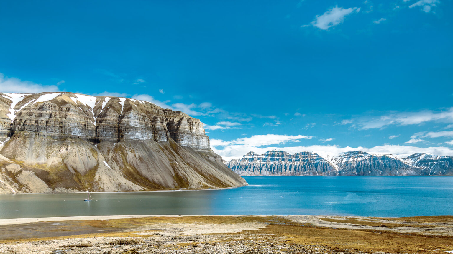 Environmental journalism award winner! The sailors working to save Britain's seagrass meadows