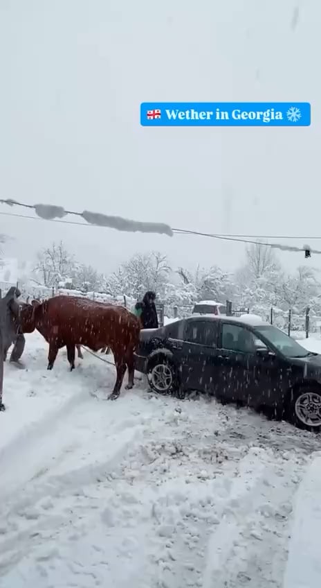 🇬🇪 Weather in Georgia ❄️