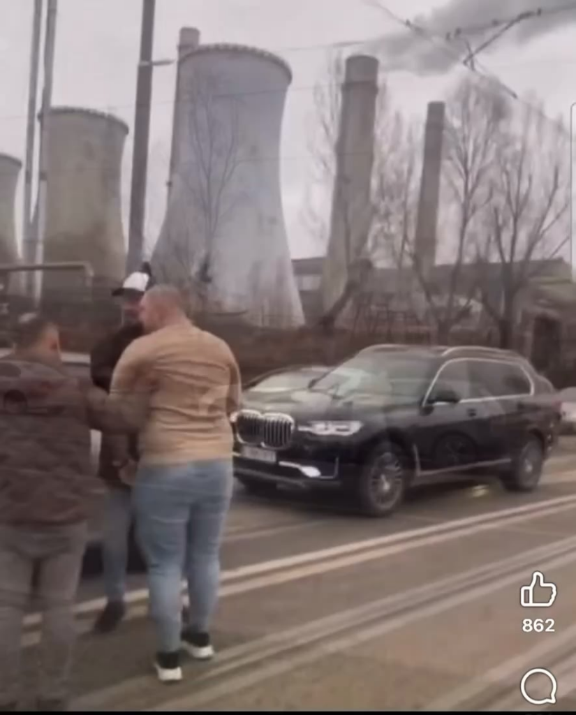 Wild pig escaped in traffic