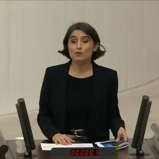 Ceylan Akça from DEM: "It is not your right to build dams on our lands and then sell us the electricity you get from those dams at exorbitant prices."