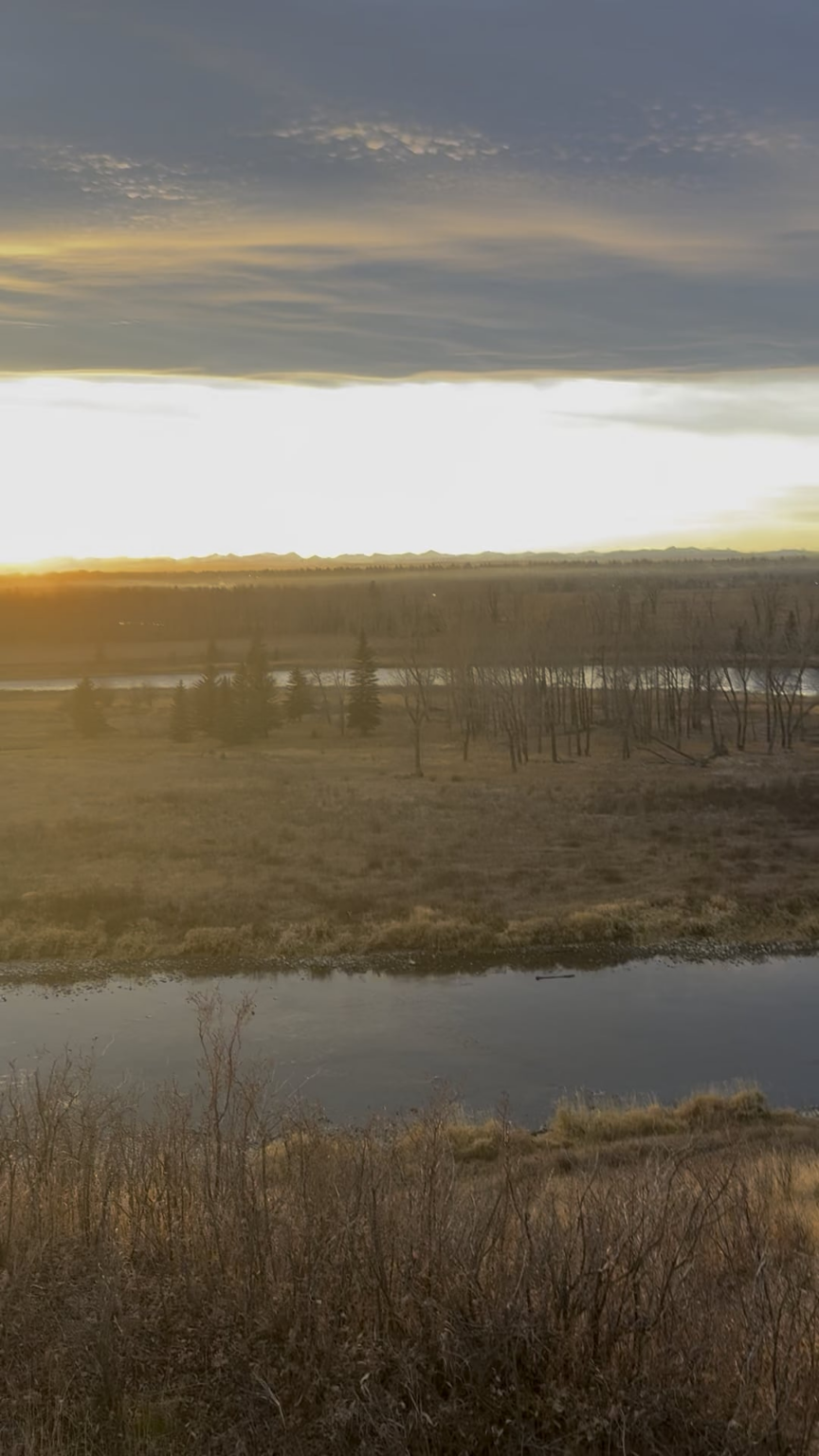 Coyotes at sunset sound like the souls of the damned lol (turn on sound)