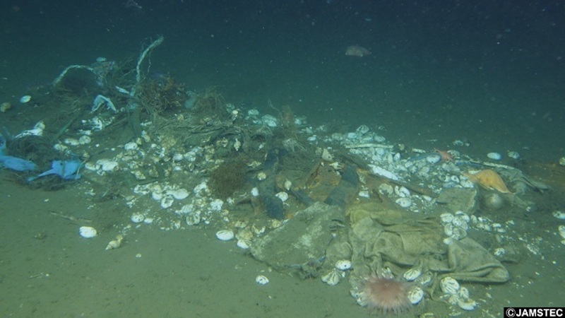 A Roadmap For Combating Marine Litter Across The Globe – Eurasia Review