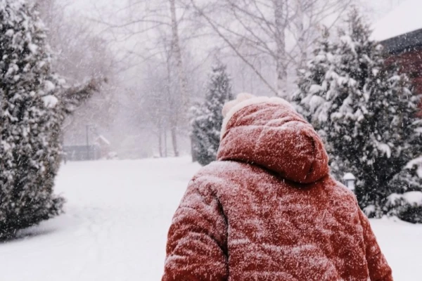 Severe Frosts Are Coming to Latvia. Meteorologists Warn Residents Severe Frosts Are Coming to Latvia. Meteorologists Warn Residents