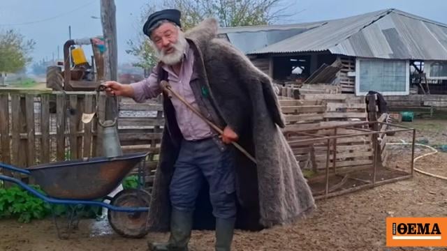 Tragic: The farmer who tearfully said goodbye to his 450 sheep, all of a local historical breed, collapsed, is hospitalized in Giannitsa with stroke symptoms - "It's like our children are killing us one by one in front of us"