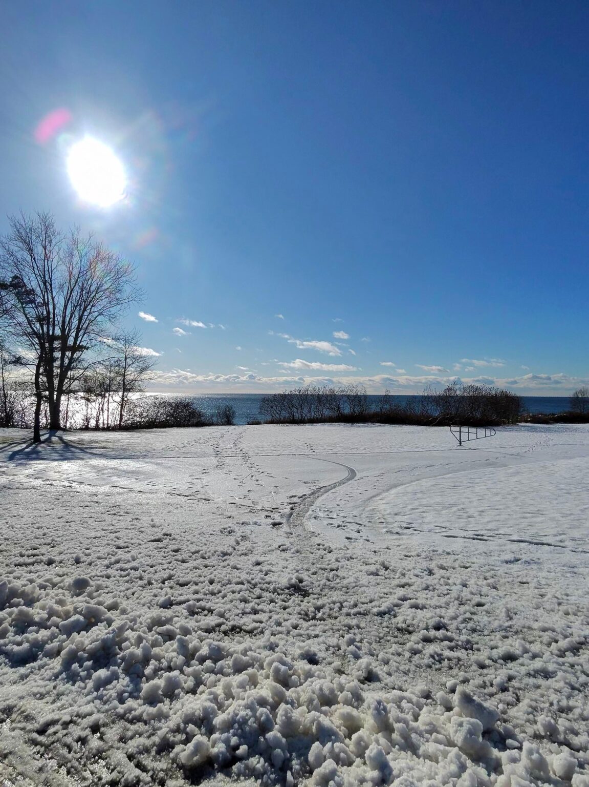 Beautiful Colours of Nature 💙