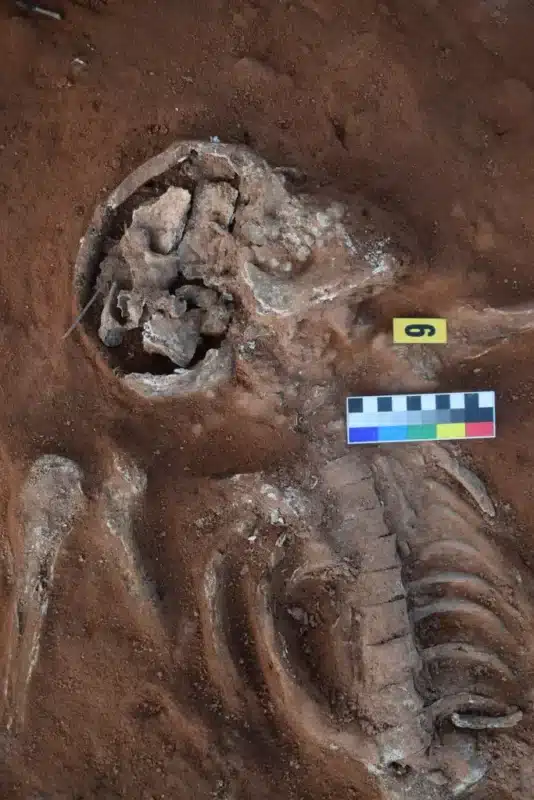 Ac Olomouc Cz Archeologove Objevili 117908224